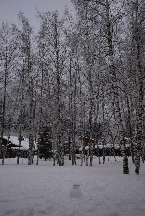 Chalet Champraz - Free Parking Шамони Екстериор снимка